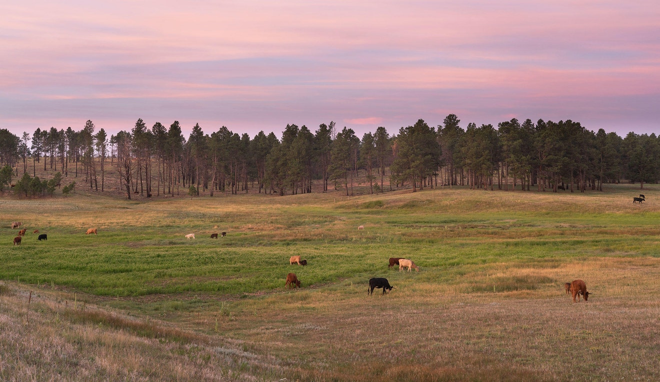 Conservation Ranching Conservation Ranching | Audubon