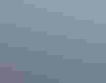 A large mural on the wall of a building of two plovers.