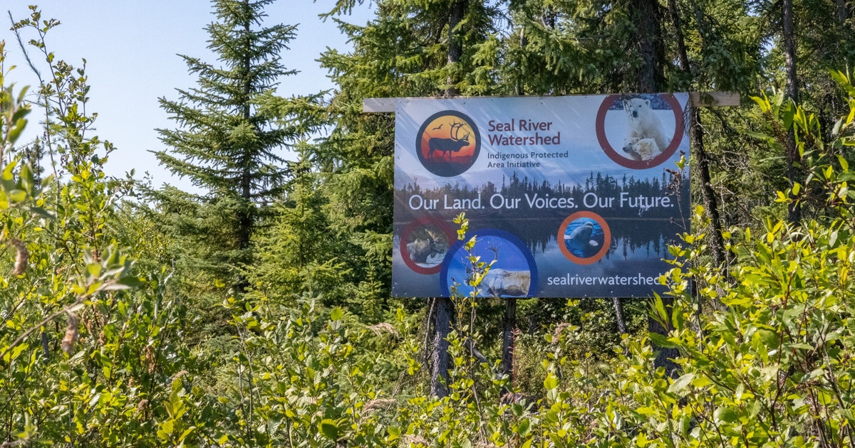 Critical Watershed Is One Step Closer to Being Permanently Protected ...