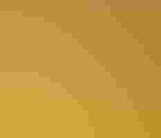 An eagle flying in front of the sun.