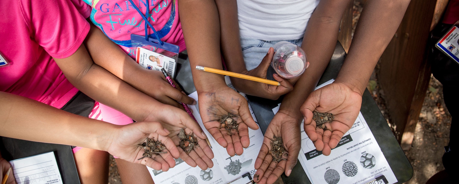 Audubon's EDIB Conservation Principles | Audubon