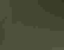 Two doves stand on a rock gently preening each others necks against a green out-of-focus background.