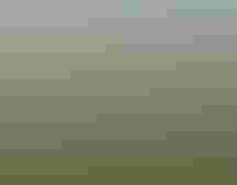 Boreal landscape, trees, shrubs, near water