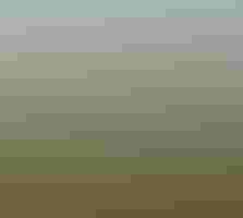 Boreal landscape, trees, shrubs, near water