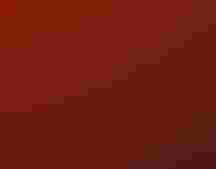 A flock of birds flies across a red sky with a crescent-shaped sun.