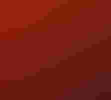 A flock of birds flies across a red sky with a crescent-shaped sun.