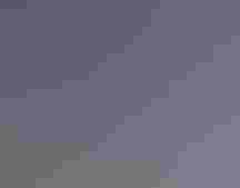 A flock of pigeons eating seeds on a sidewalk.