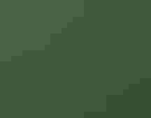 A camouflaged whip-poor-will sits on the ground among brown and green leaves.