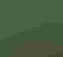 A camouflaged whip-poor-will sits on the ground among brown and green leaves.
