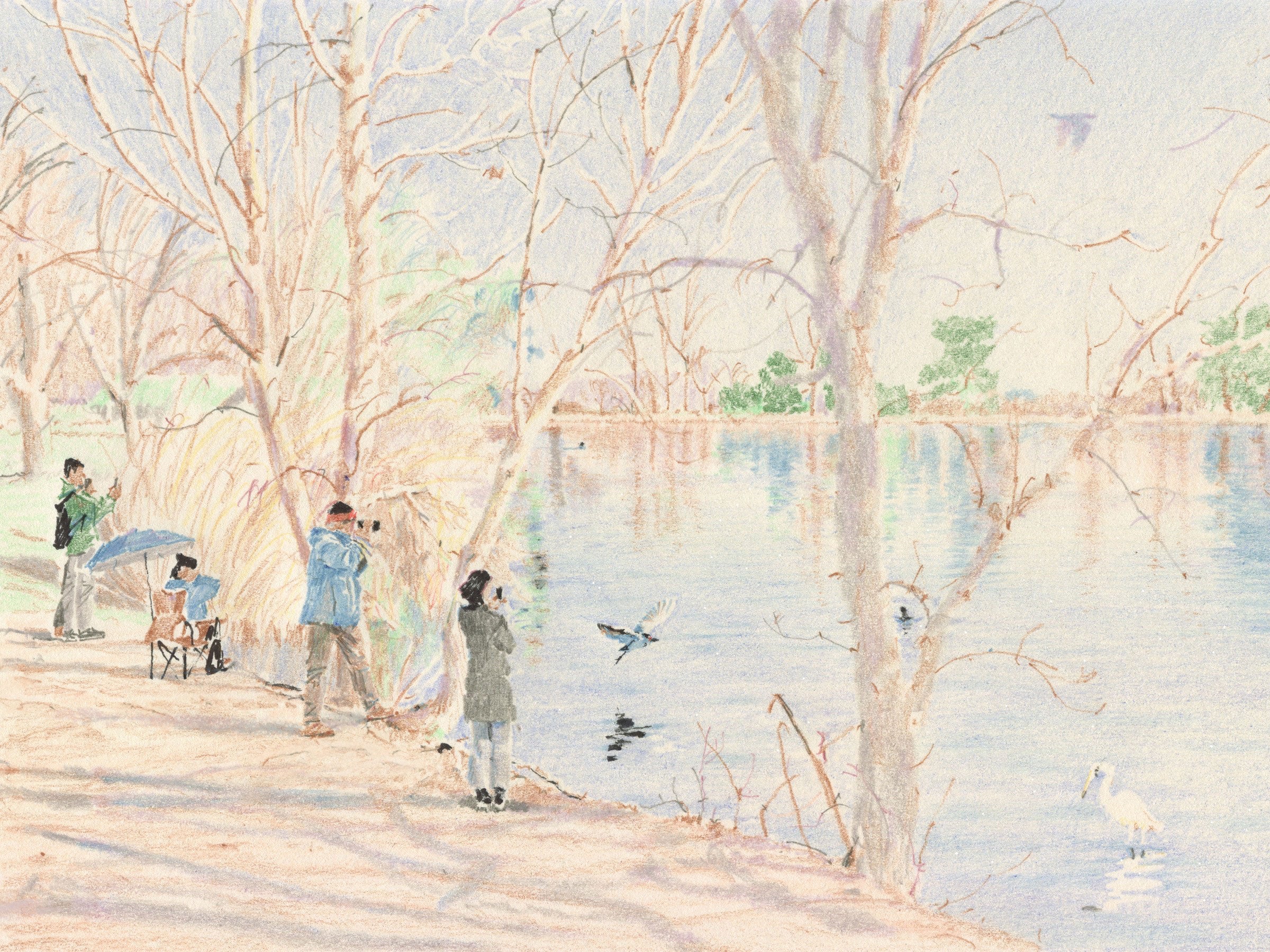 Illustration of people watching birds next to a lake.