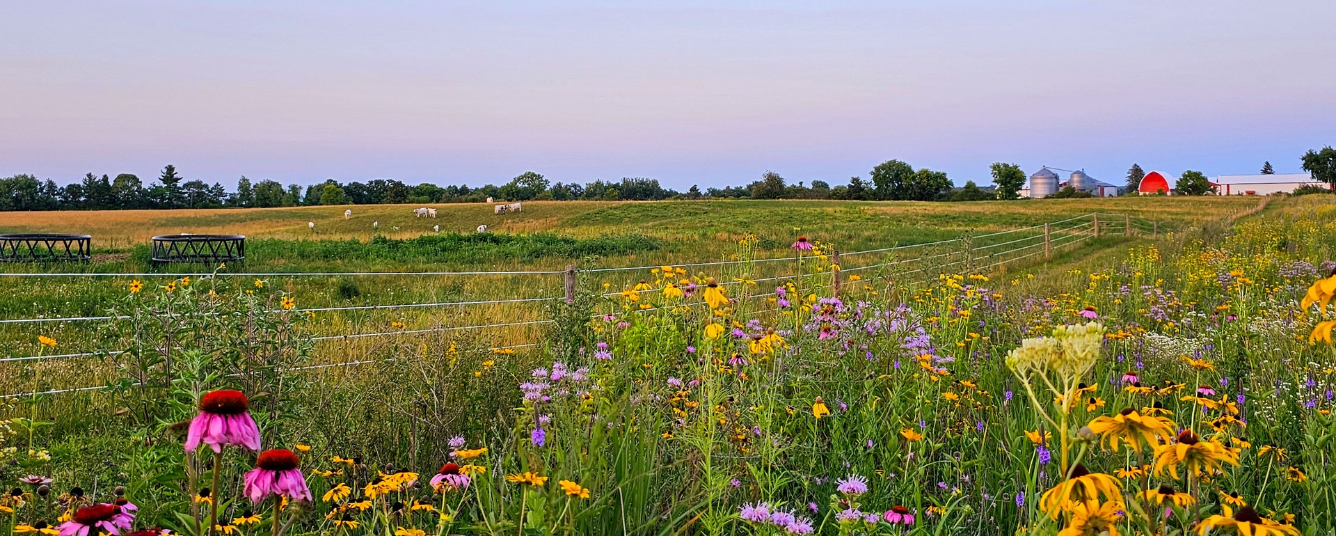 Conservation Ranching Conservation Ranching | Audubon