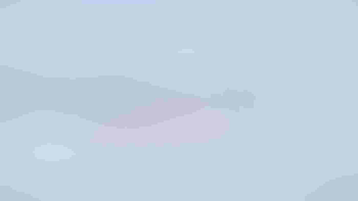 American Avocets, bills nestled in plumage, stand in a lake in the middle of the frame. The flock, reflected in the sky blue water, stands out against the backdrop of soft-focused snow-draped mountains.