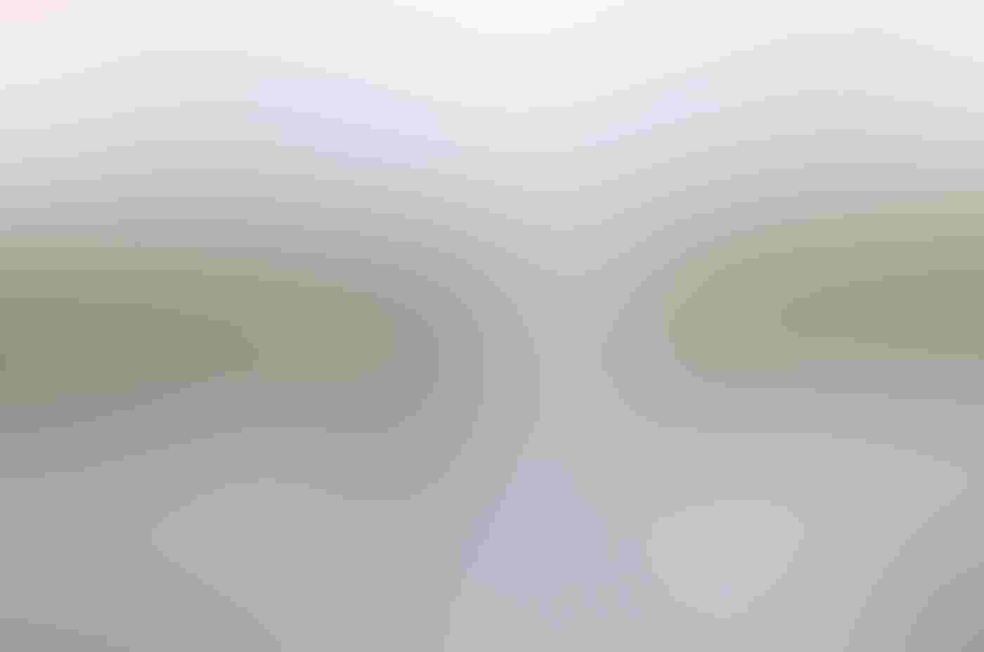 One Least Tern with wings outstretched stands over another on its back in the sand. The bird on top appears to be passing a small baitfish in its bill to the female below. The birds are in focus against a blurred background of beach and green grasses.