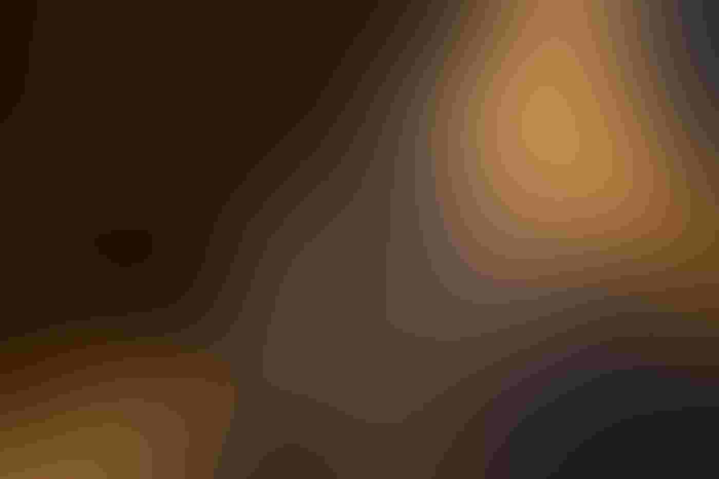 A Great Black-backed Gull stares head-on at the viewer, with only one half of its face in the frame. The setting sun illuminates its face, eye, and bill, which are in sharp focus while the rest of its blurred body fills the background.