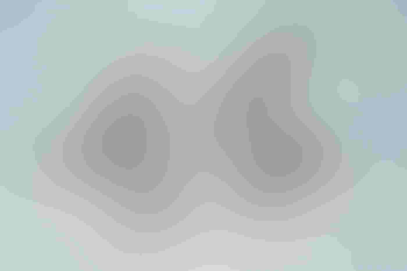 A Brown Pelican in the water has an Osprey partially trapped in its bill and gular pouch. The osprey's wings, still free, extend straight up and its beak and eyes gape open. A second pelican, wings stretched wide, is about to land behind the first.