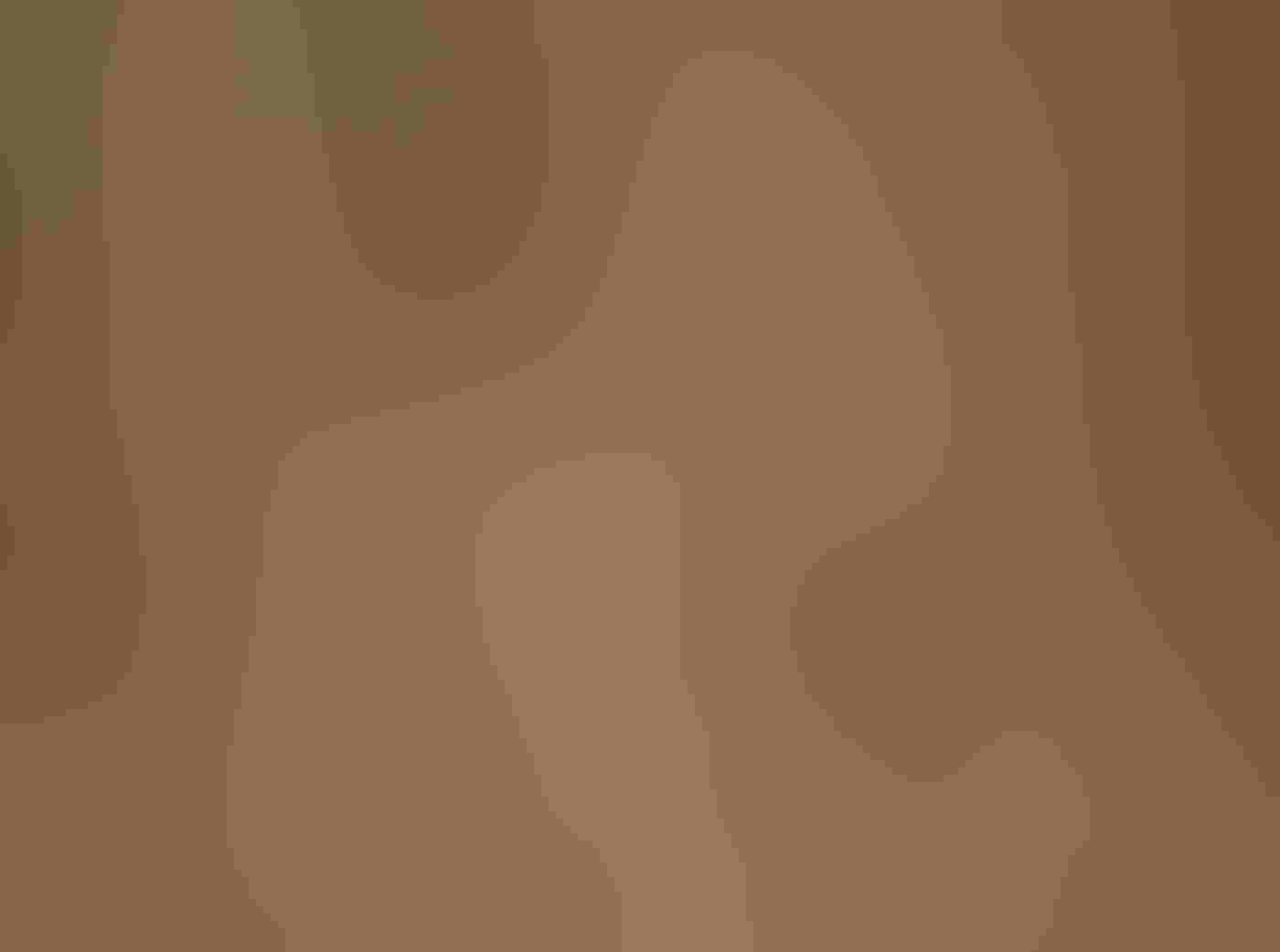 A tree trunk fills the frame, with a small Brown Creeper in the lower right-hand quadrant of the image. Its mottled brown and white plumage blends in perfectly with the colors and ridged patterns of the tree trunk.