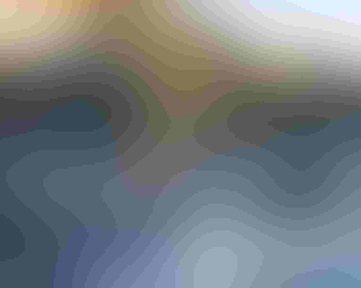 A Red Knot walks across black, shiny stones along the shore. Blurred waves are visible between rocks in the lower right-hand corner of the frame. Droplets are scattered throughout the image against a yellow and green background.