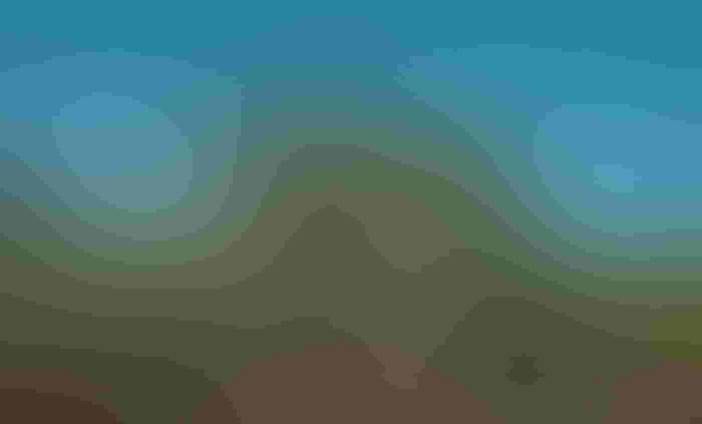 A Brown Pelican, its wings behind it, flies to a chick with its bill open at the top of a mangrove tree. Other nests and birds, including two Magnificent Frigatebirds and a Great Egret, sit among the lush, green mangroves that grow from the water.