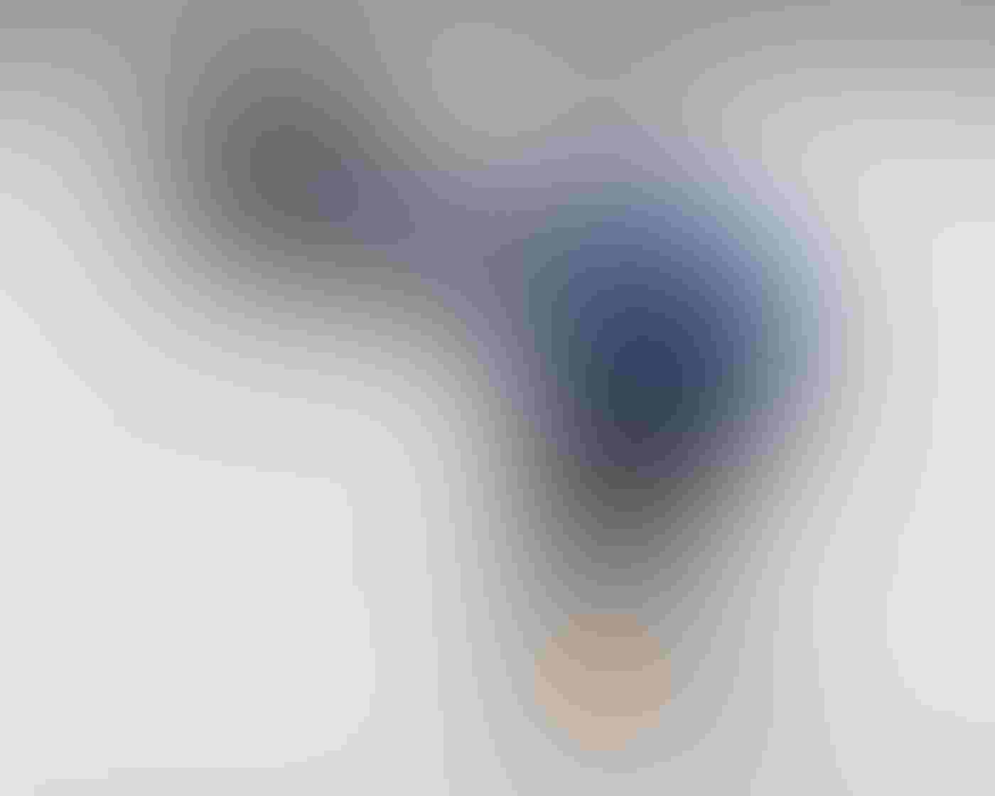 A blue and black Boat-tailed Grackle perches on a white railing, its head ducked and bill clamped on a small orange and yellow crab between its legs. The bird’s yellow eye stands out against the dark plumage and white background.