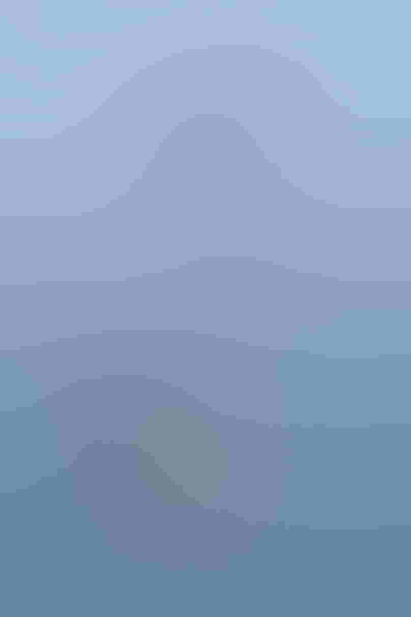 A male Peregrine Falcon hovers in the blue sky. Below him, a bite-sized piece of a small bird falls through the air. In the bottom of the frame, a female peregrine waits to catch the prey, her bill open and wings stretched behind.