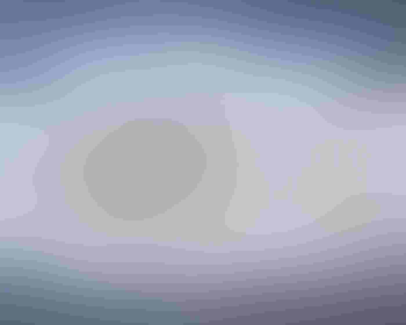 A group of King Penguins stand at the edge of the ocean, one pointing an open bill at the sky. Photographed at eye level, the penguins’ black, white, and yellow-tinged bodies stand out against dark rain clouds above and the blurry reflections below.