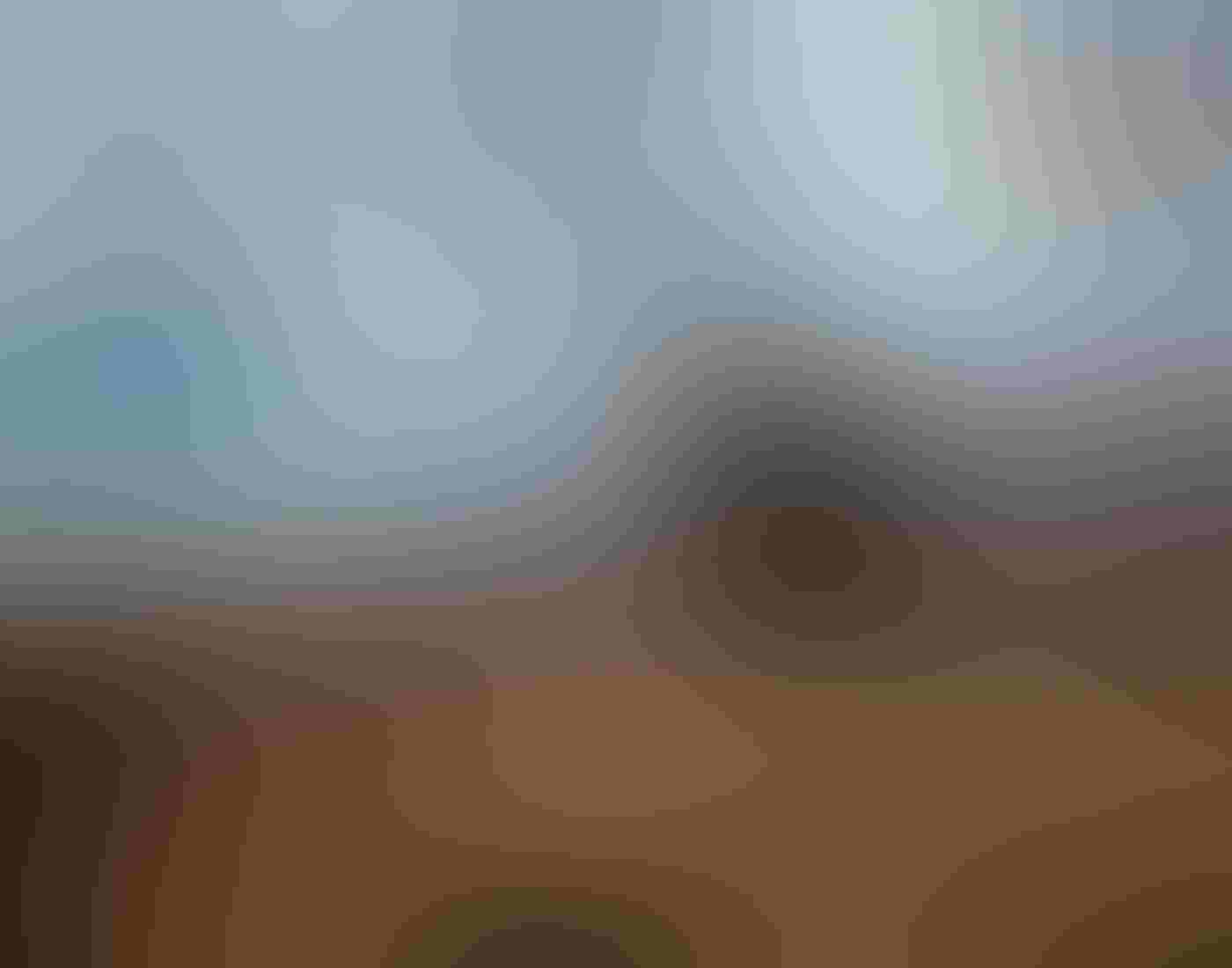 A California Condor stands in profile at the edge of a cliff, its featherless face looking to the left of the frame. The dark plumage of the condor stands out against white clouds and blue sky in the background and rugged beige limestone at its feet.