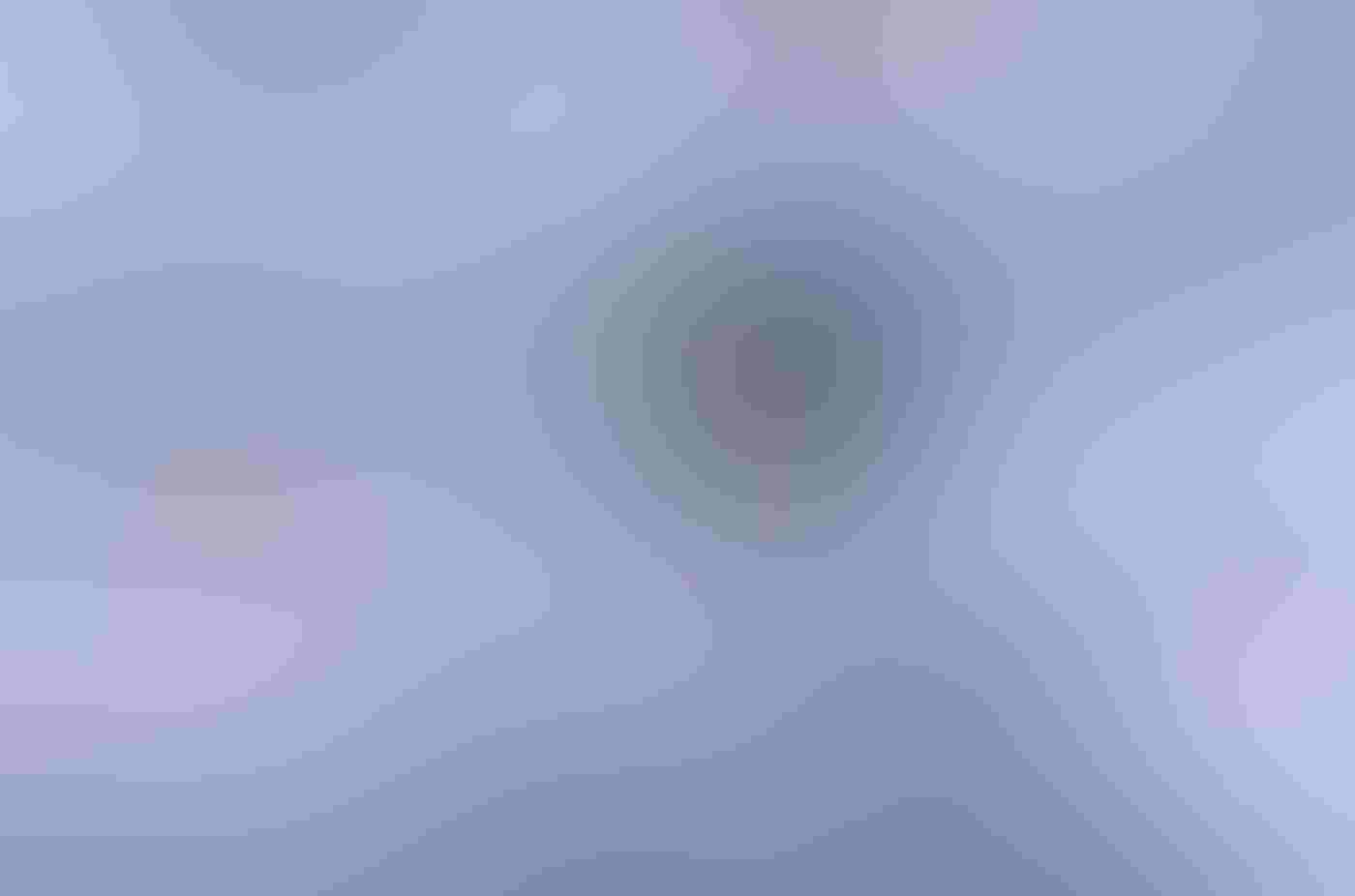 A blue-gray American Dipper stands in profile on a log nearly submerged in rushing water. The blueish-purple water in the foreground and background is motion-blurred and looks slightly pink, while the bird is in focus in the center of the frame.