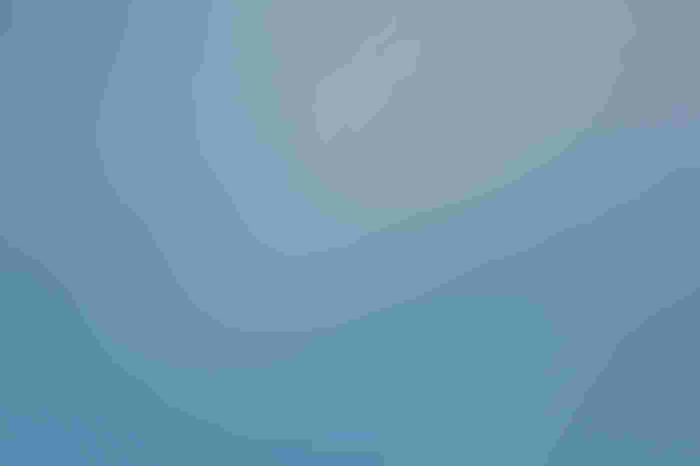 A small white tern with a black cap, yellow bill, and orange feet hovers in the sky, its head looking down. Raindrops are scattered across the blue sky. Sunlight illuminates both the bird and water droplets.