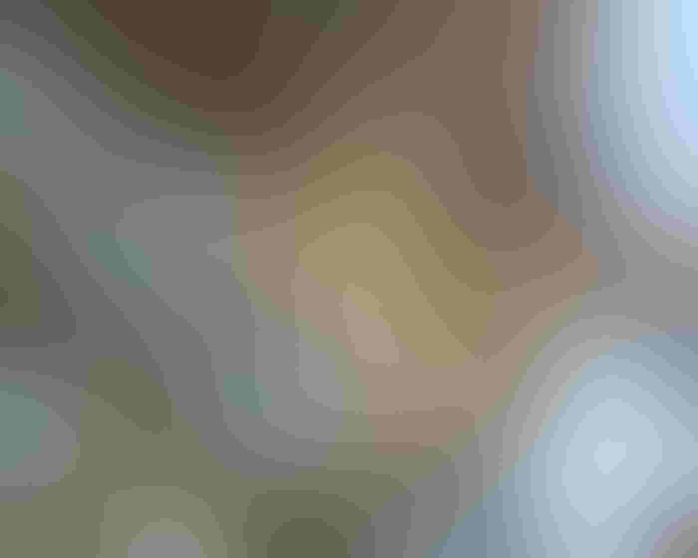 This photo shows a Red-tailed Hawk standing on a perch with its wings raised over its prey, a little American red squirrel. The squirrel, on the left of the perch, is looking up at the hawk with its arms outstretched.