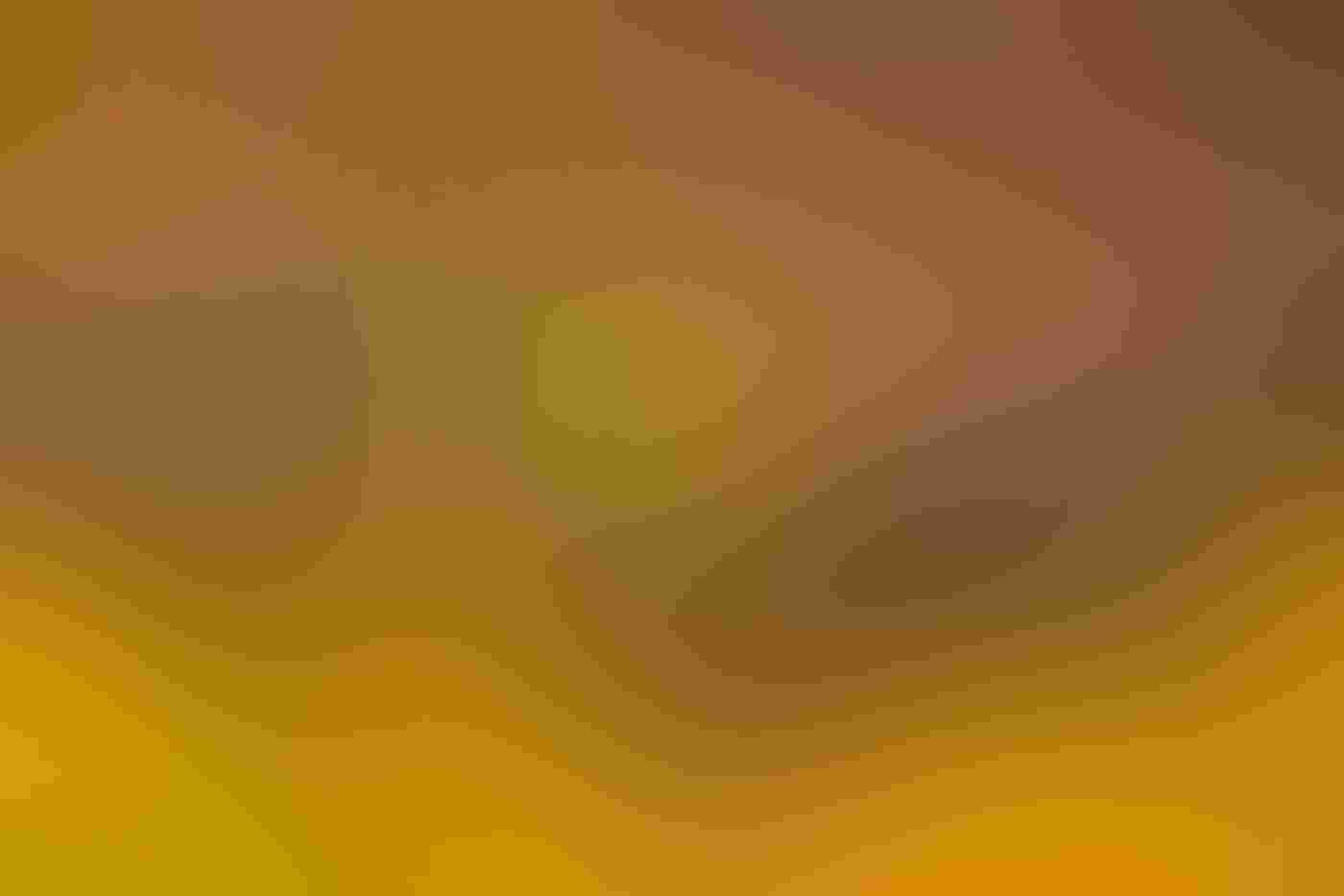 A Great Blue Heron occupies a small part of the image in the lower right third, surrounded by bald cypresses along the water’s edge with moss-draped branches and fiery orange autumn leaves. Dabs of out-of-focus yellow foliage fill the lower frame.