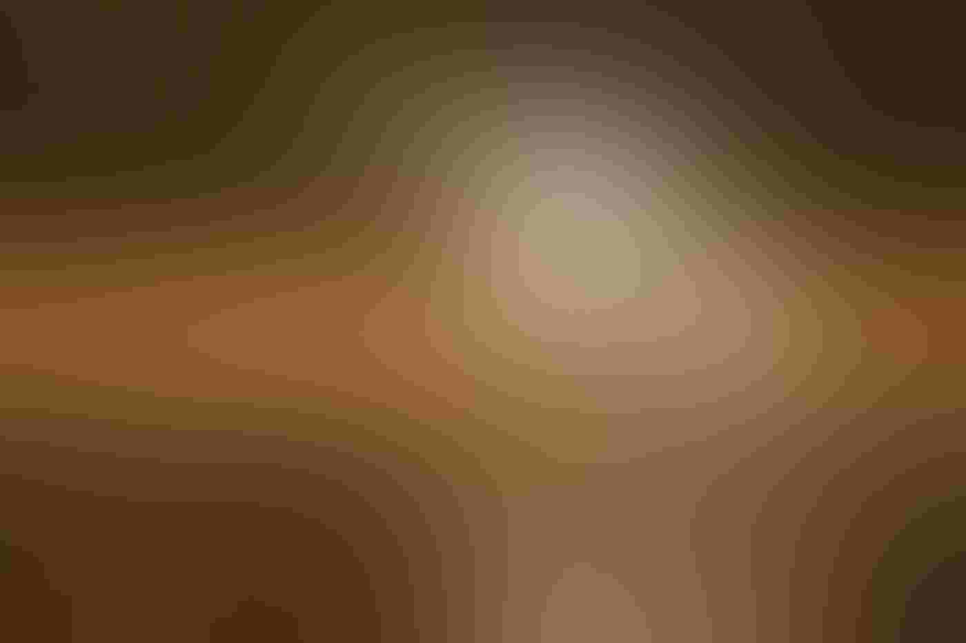 A Snowy Egret stands in shallow water, wings extended up and forward, casting shade on the water below. A small fish is suspended in mid-air between its open bill. Backlit water droplets hang in the air in front of a golden background.