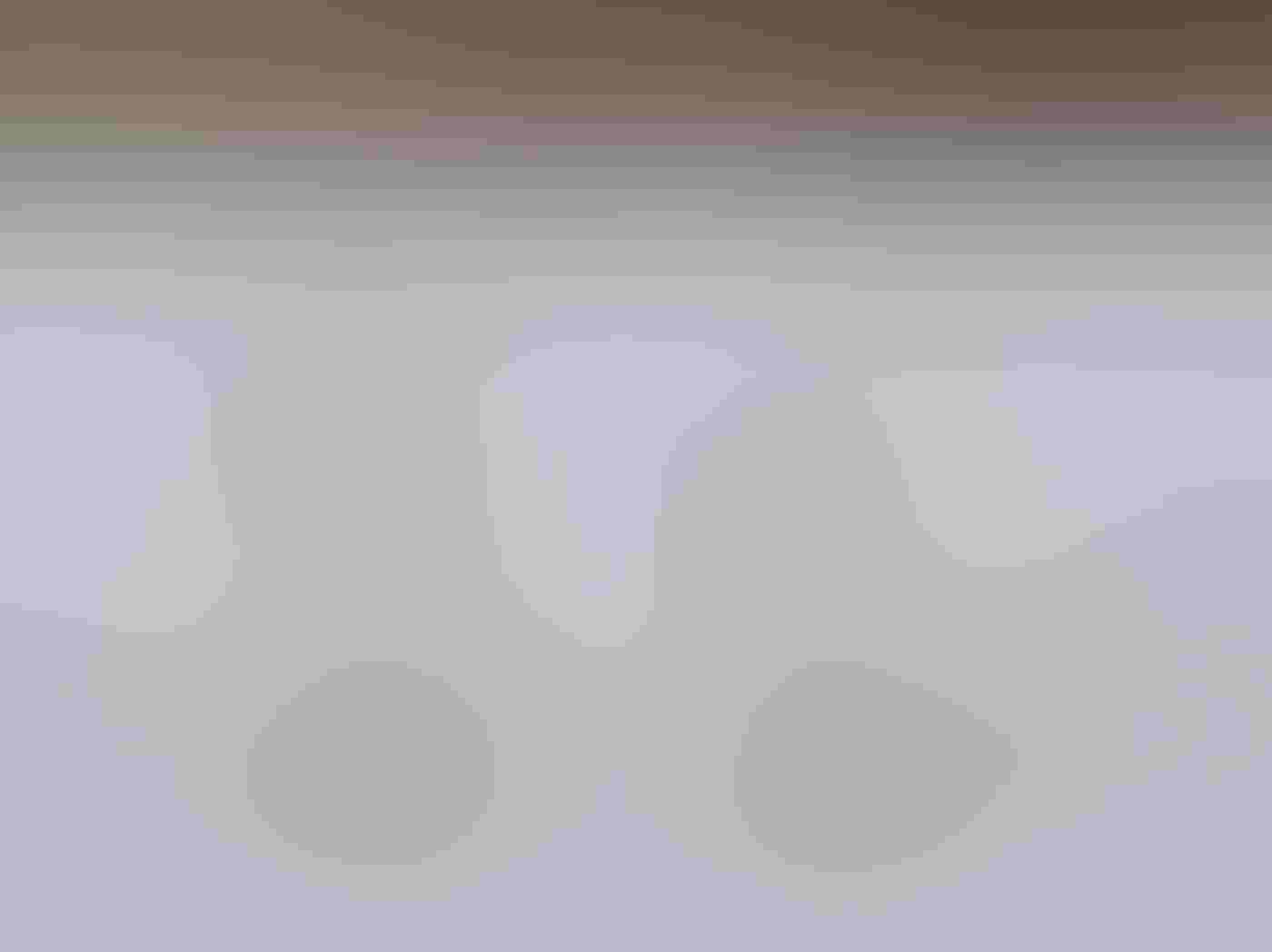 Two Western Grebes with white fronts and dark gray backs, red eyes, and sharp yellow bills face the camera, their legs lifted out of the water as they sprint on the water’s surface, sending splashes behind them.