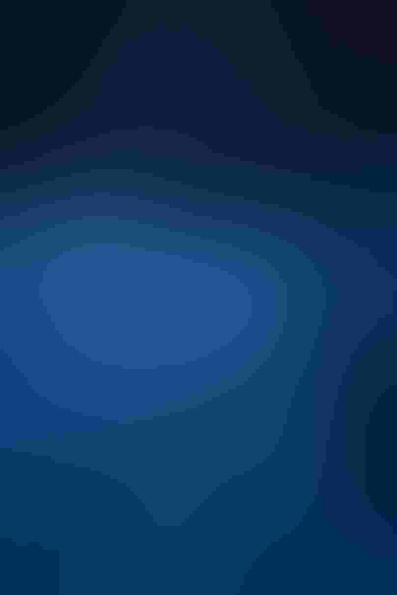 Wooden pilings rise out of blurred blue water, each topped with a gull, all facing in the same direction, the pilings denser toward the back of the image. The whole image is bathed in blue.