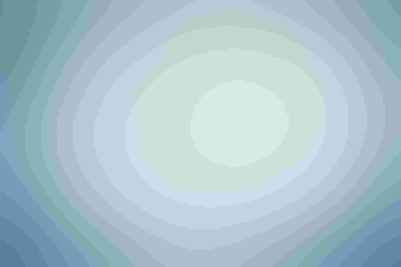 A large flock of migrating birds flies in v-formations across a light blue sky. Photographed from below, the overlapping formations resemble a sketch of a craggy mountainside.