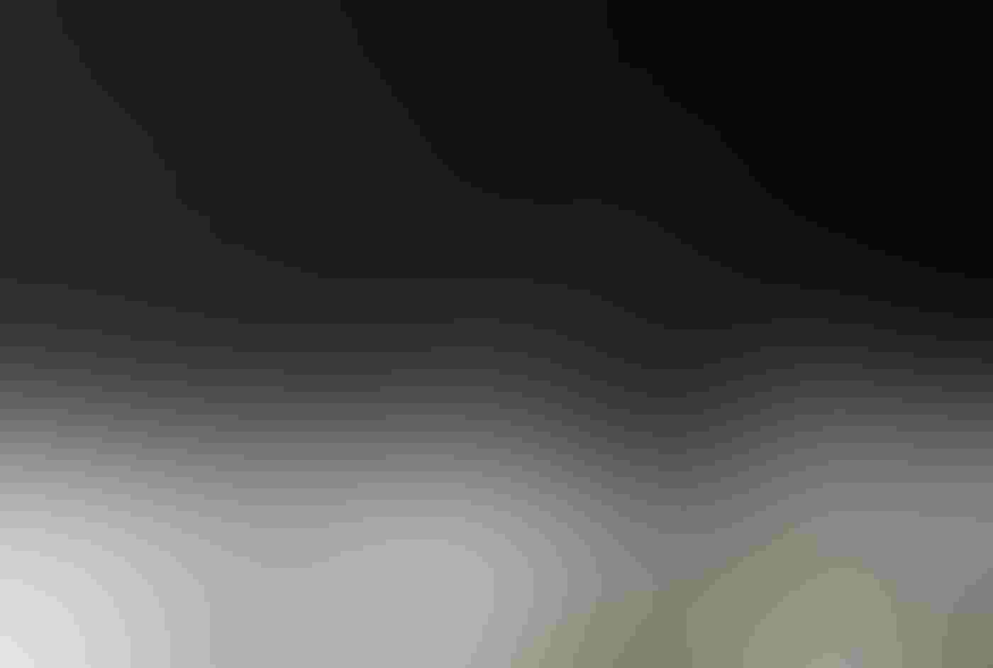 A female Hooded Merganser sits in the water, her wings spread behind her. The wings and head are illuminated, a stark contrast to the black background and blurred white droplets of water that surround the bird.