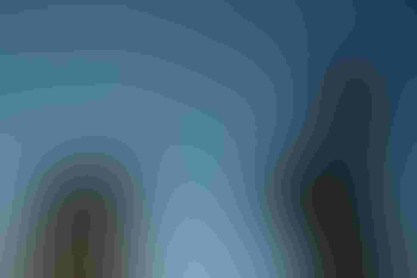 Thousands of small, flying Purple Martins fill the frame in a loose spiral against a dark blue sky at dusk. In the foreground are statues of one figure blowing a trumpet and another seemingly staring directly up at the apex of the birds.