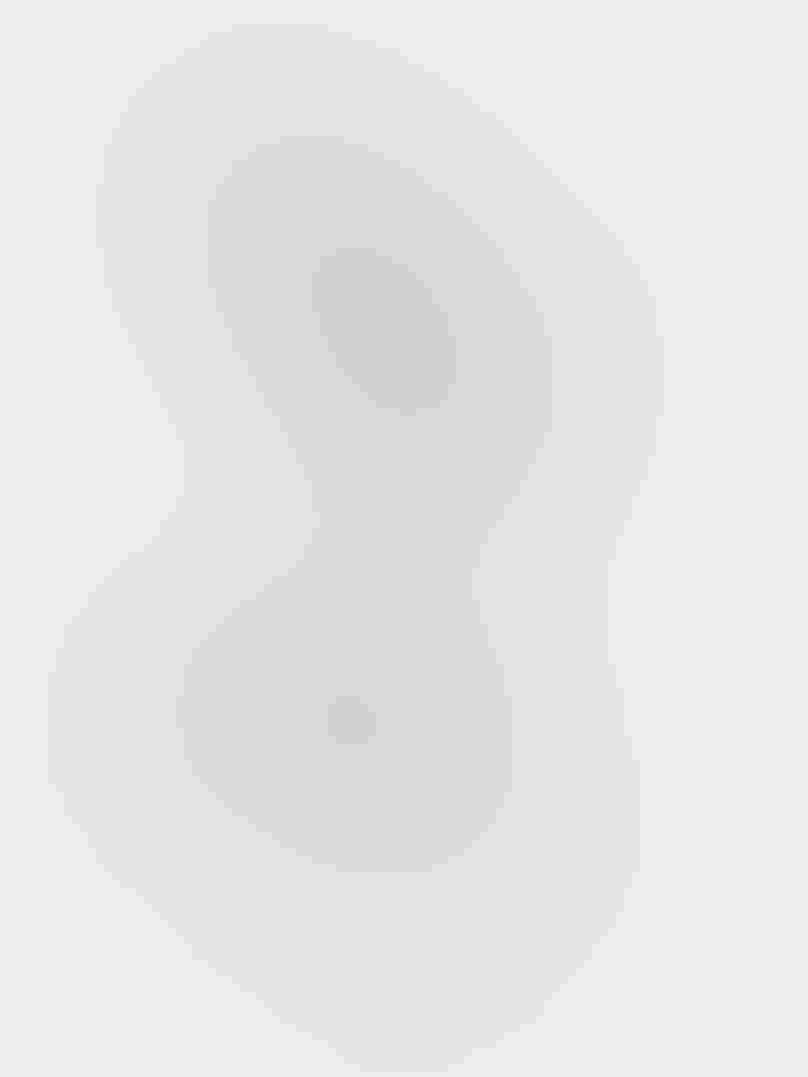 Two Forster's Terns, one above the other, appear to float in the air. Both birds’ wings are outstretched, their bills interlocked. They appear almost as mirror images against a gray background.