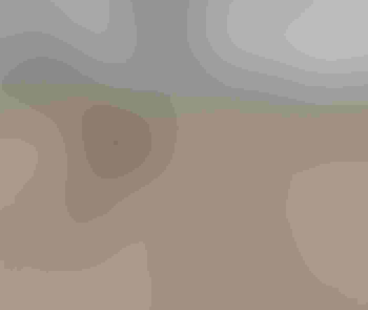 A Black-bellied Plover in non-breeding plumage, white with brownish and black speckles, looks at the camera. Its body is in profile, a sea worm appearing stretched from the bird’s bill to the sand and a blurred beach in the background.