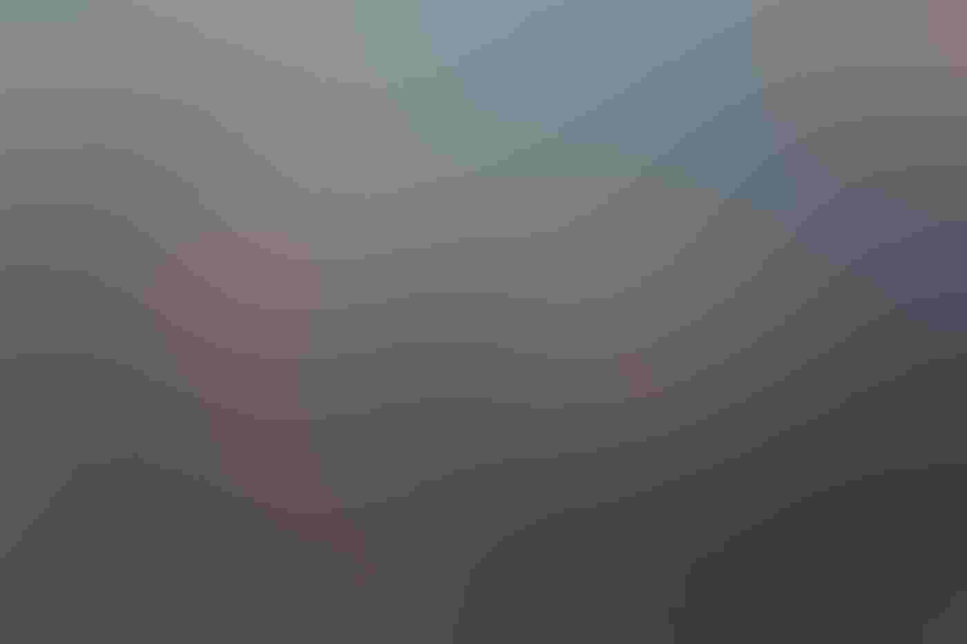 A single cormorant flies low over a calm ocean, tiny in the center of the frame, its dark shape reflected underneath it. Tendrils of brown kelp are visible beneath the surface of the water, forming a swirling ring that frames the bird.