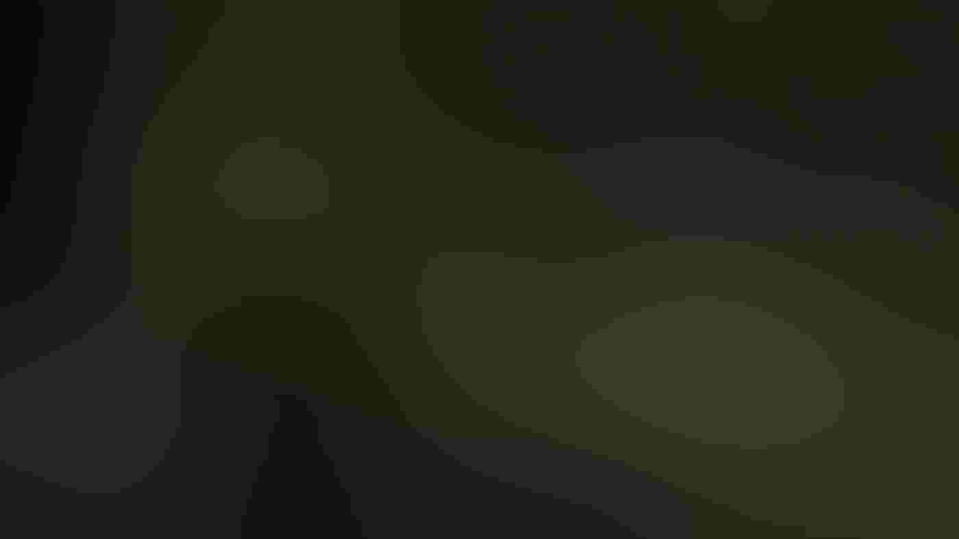 A Yellow Warbler, tiny in the frame, sits in a dark tree stump rising from the dark brown, muddy water of a swamp. The tree stump, almost black from decay, wears a crown of bright green moss that echoes the algae in the water.