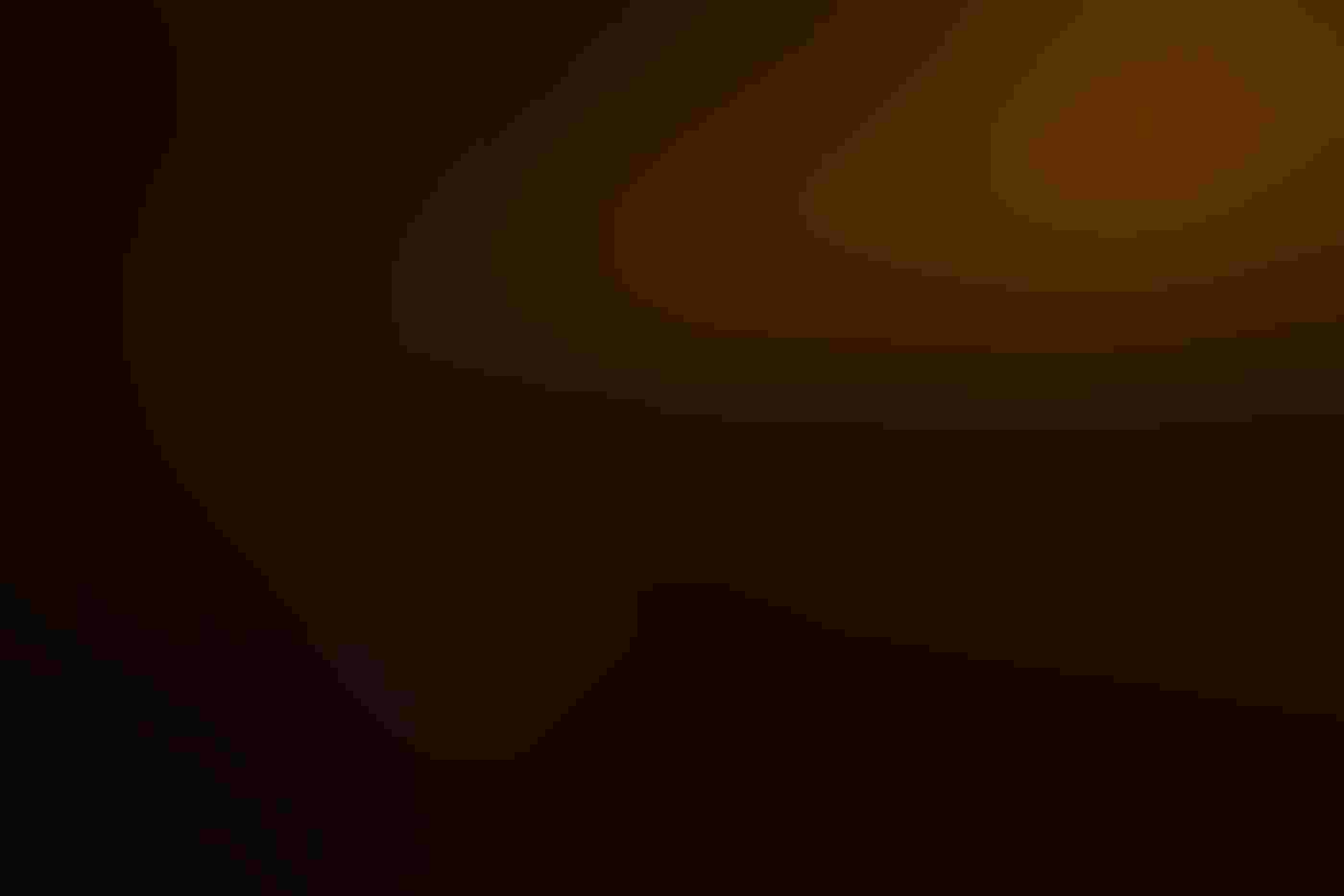 A dark Gentoo Penguin head thinly outlined in golden light stands out against a dark background in the left side of the frame, its bill open. A cloud of vapor emanates from the mouth, illuminated as it condenses in the cold air.