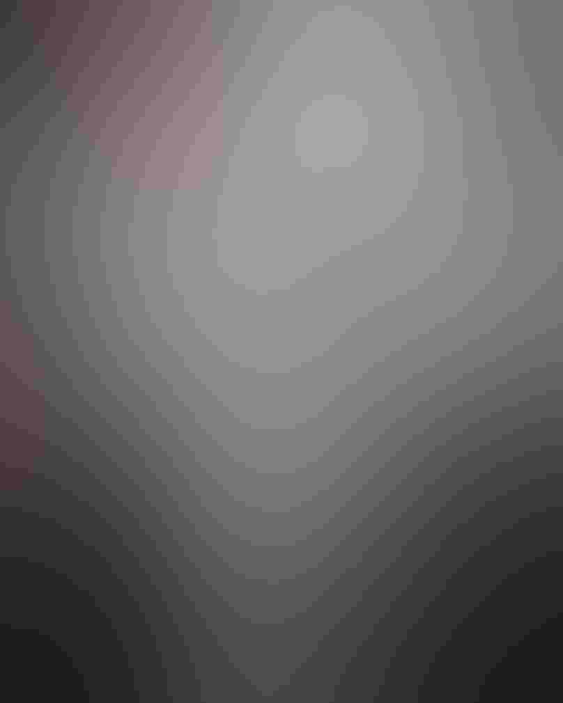 A light colored Great Horned Owl sits on a branch in front of the trunk of a birch tree, its plumage completely camouflaged against the white bark. Around the trunk at the center of the shot are more birch trunks and dark, snowy branches of other trees.