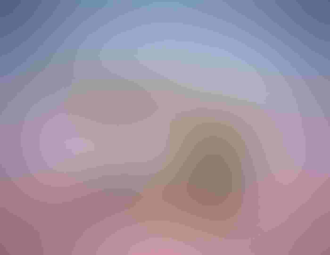 Six Sandhill Cranes stand in mirror-like water, their reflections clear on the still surface, which also reflects the pink sunrise. Each has a different pose, the one on the left with wings outstretched, the others in various preening postures.