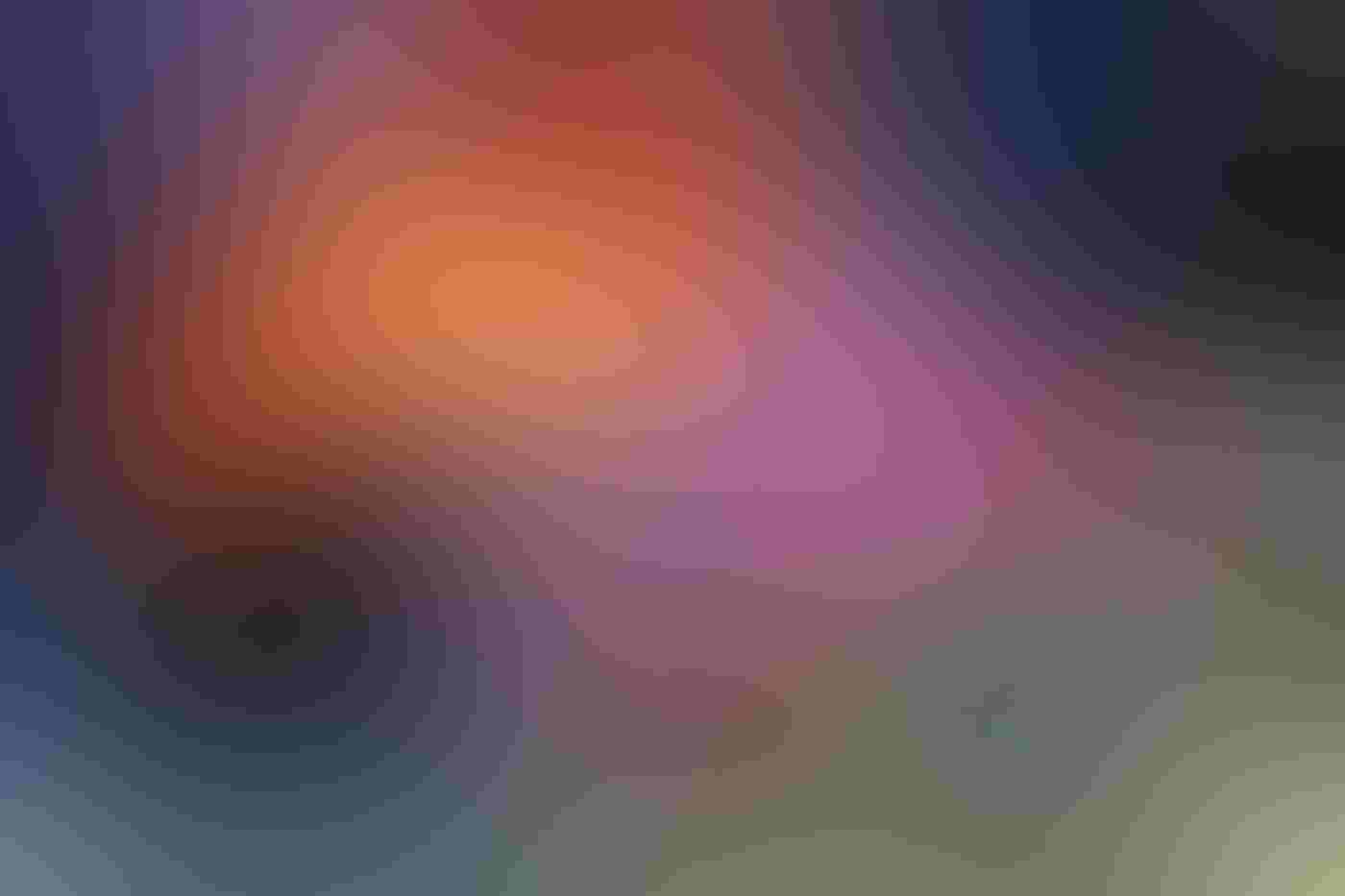 Red, yellow, and blue streak the image, ghostly representations of the two Scarlet Macaws in focus in the picture. One bird sits low on a rock, its body horizontal, the other facing the viewer against a black background.