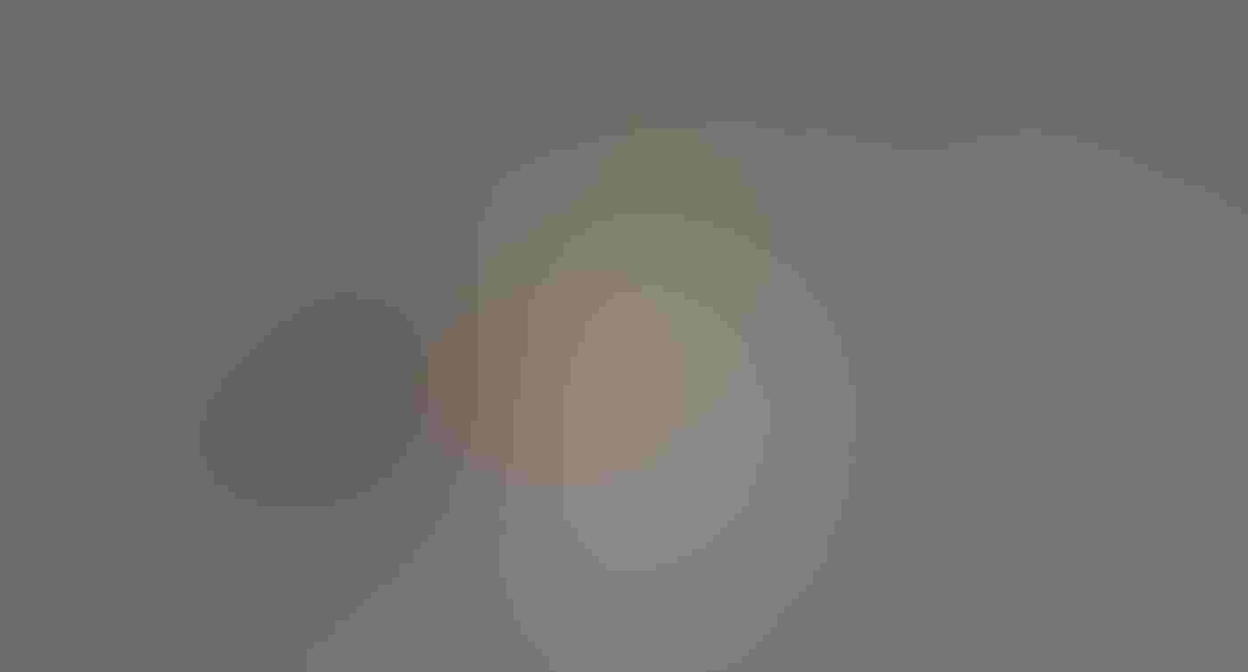 A Western Grebe in profile sits on the water, three chicks straining forward on her back, their gray heads and black bills all pointing to the right. The parent’s red eye and yellow bill stand out among the gray of the birds and the blue-green water.