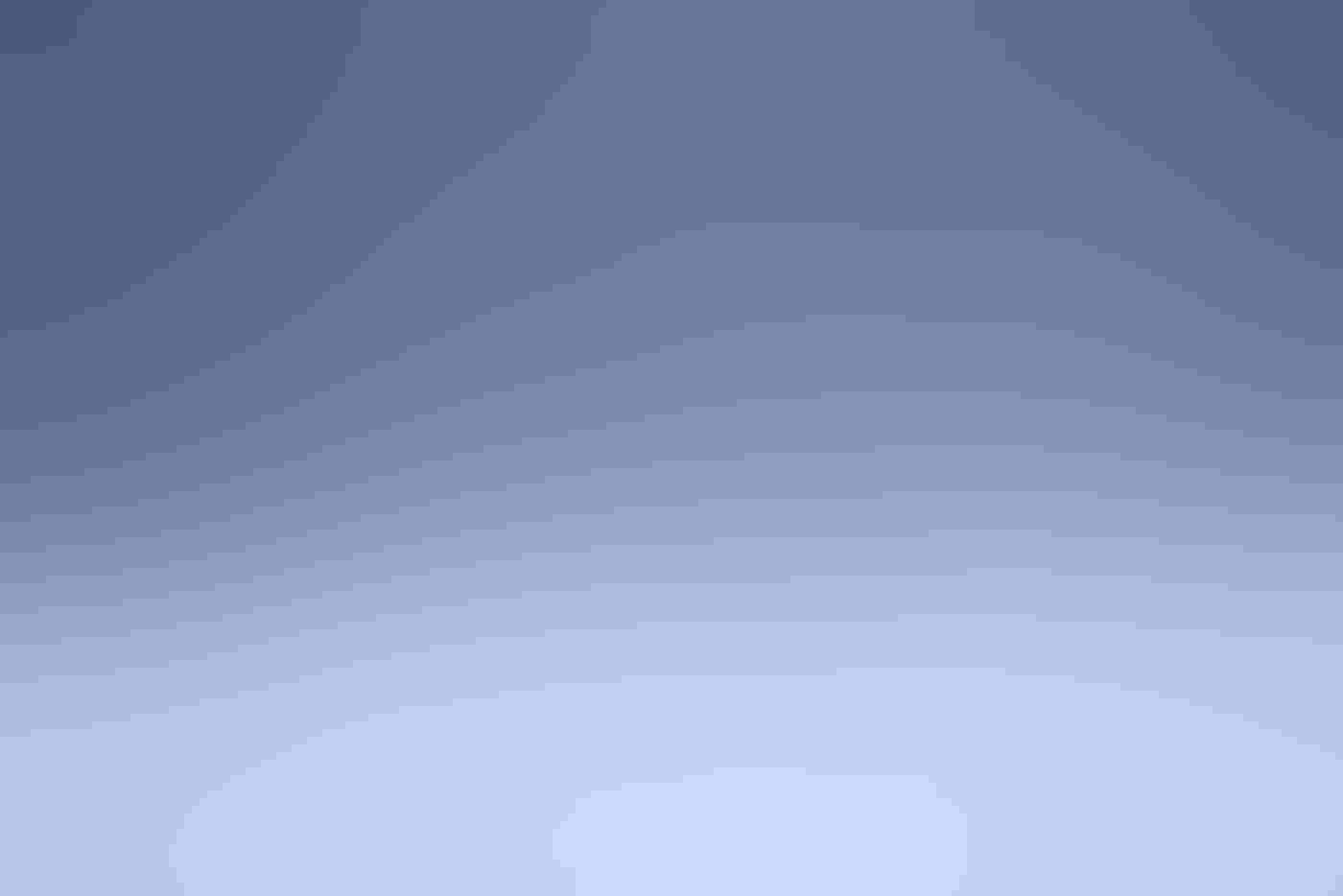 Two pure white Willow Ptarmigan sit in the middle of the frame on fresh snow. One looks back towards the camera. Thick snow flurries fall all around in bluish light.