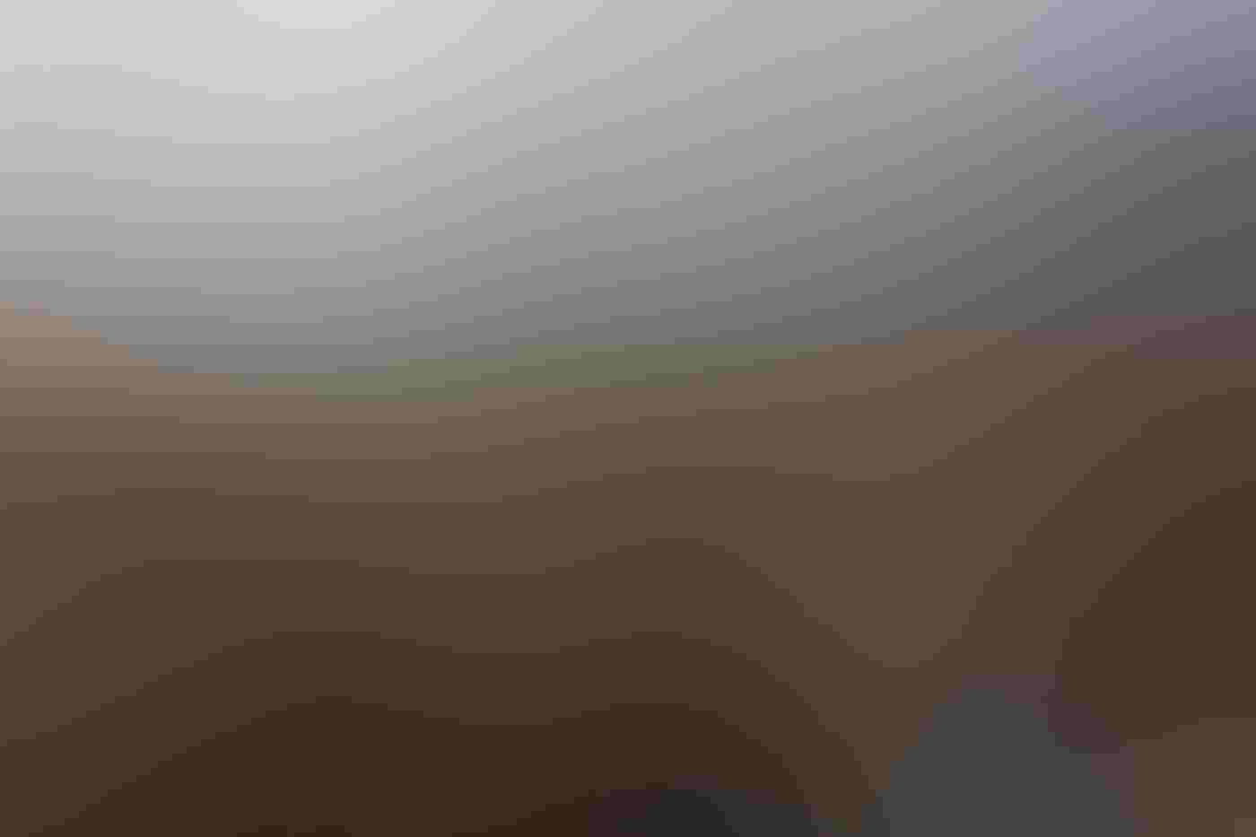 An immense colony of fuzzy brown King Penguin chicks along the coast fills the frame, while two black and white adults stand in the lower right corner. Sunlight peeks through a hole in clouds behind snow-covered mountains.