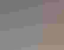 A Northern Flicker with bright orange feathers on the bottoms of its wings and tail perches on a thin branch with its wings open.