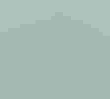 Illustration of a shorebird standing on a rock in water in front of a low sun.