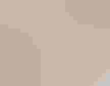 Brown goo coats several sticks with leaves and other debris trapped in it.